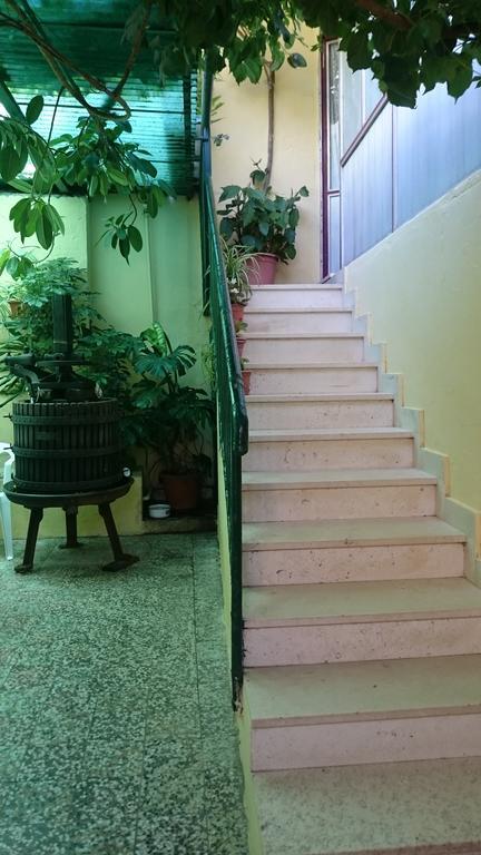 Apartments Petkovic Кучиште Экстерьер фото